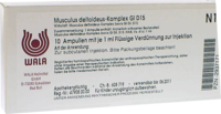 MUSCULUS DELTOIDEUS Komplex GL D 15 Ampullen