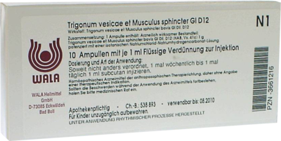 TRIGONUM vesicae et Musculus sphinc.GL D 12 Amp.