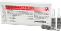 EQUISET-Gastreu R18 Injekt Ampullen