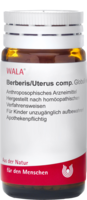 BERBERIS/PROSTATA comp.Globuli